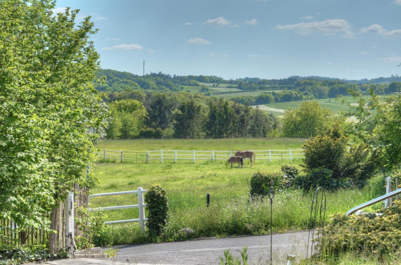 Ferienwohnung "Zum Paladin" Berg  Exteriér fotografie